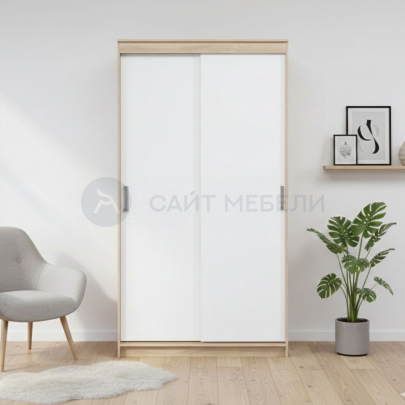 Шкаф-купе Евро (Сонома/Белый)