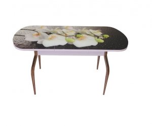 Стол стеклянный раздв. с фотопечатью, ноги изогнутые хром (Орхидея белая)