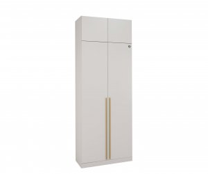 Шкаф 2х-створчатый Николь-2 (Кашемир/Сатиновое золото)