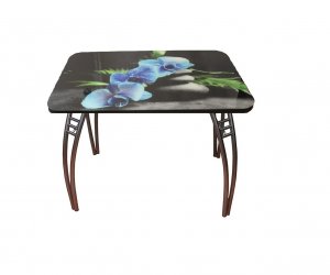 Стол стеклянный с фотопечатью Орхидея голубая, ножки Паук