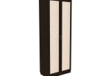 Шкаф 2-х дверный (створчатый) для одежды со штангой и полками (Венге)